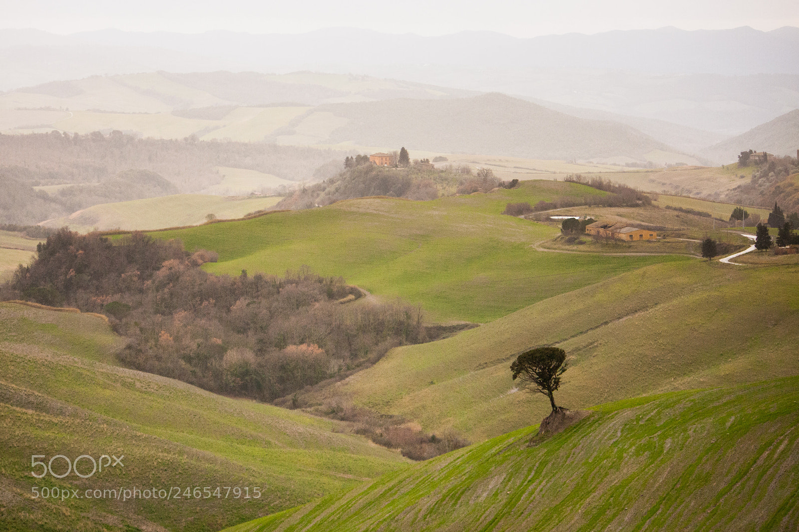 Canon EOS 40D sample photo. Inverno in toscana photography