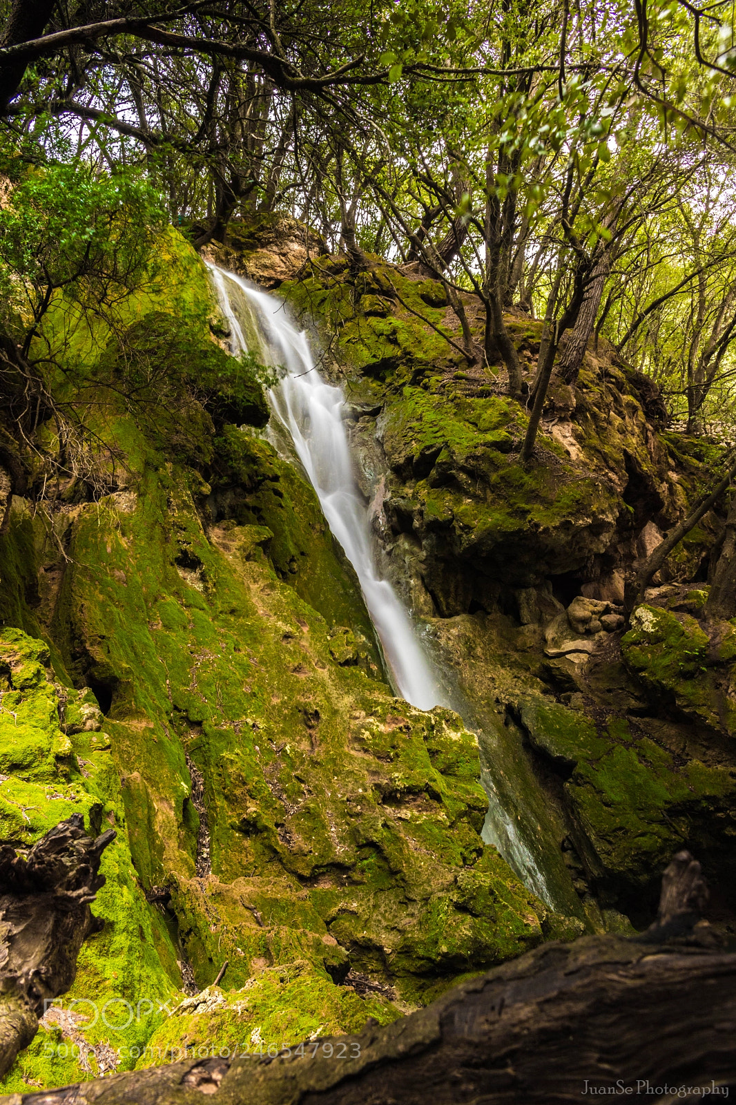 Canon EOS 750D (EOS Rebel T6i / EOS Kiss X8i) sample photo. Salt des freu photography