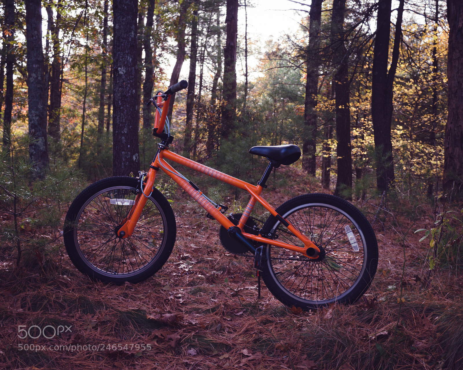 Panasonic Lumix DMC-G7 sample photo. Bmx riding in nature photography