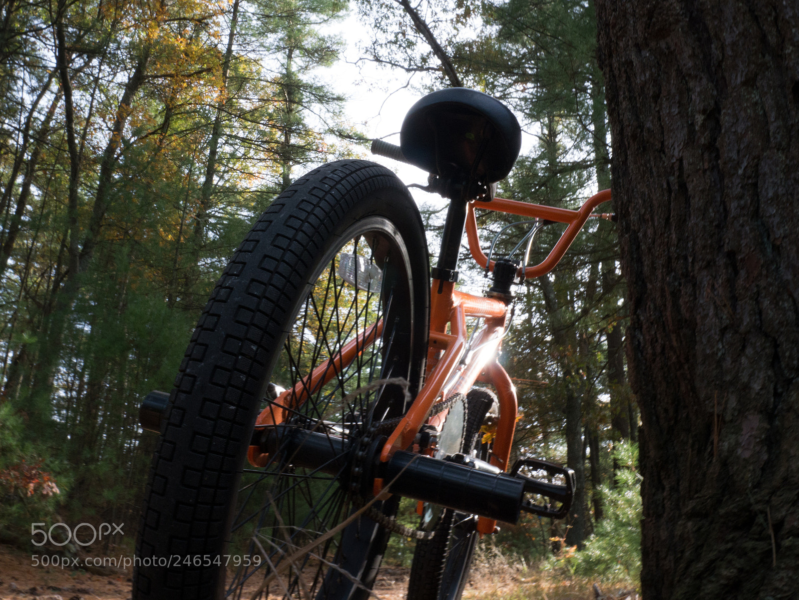 Panasonic Lumix DMC-G7 sample photo. Bmx riding photography