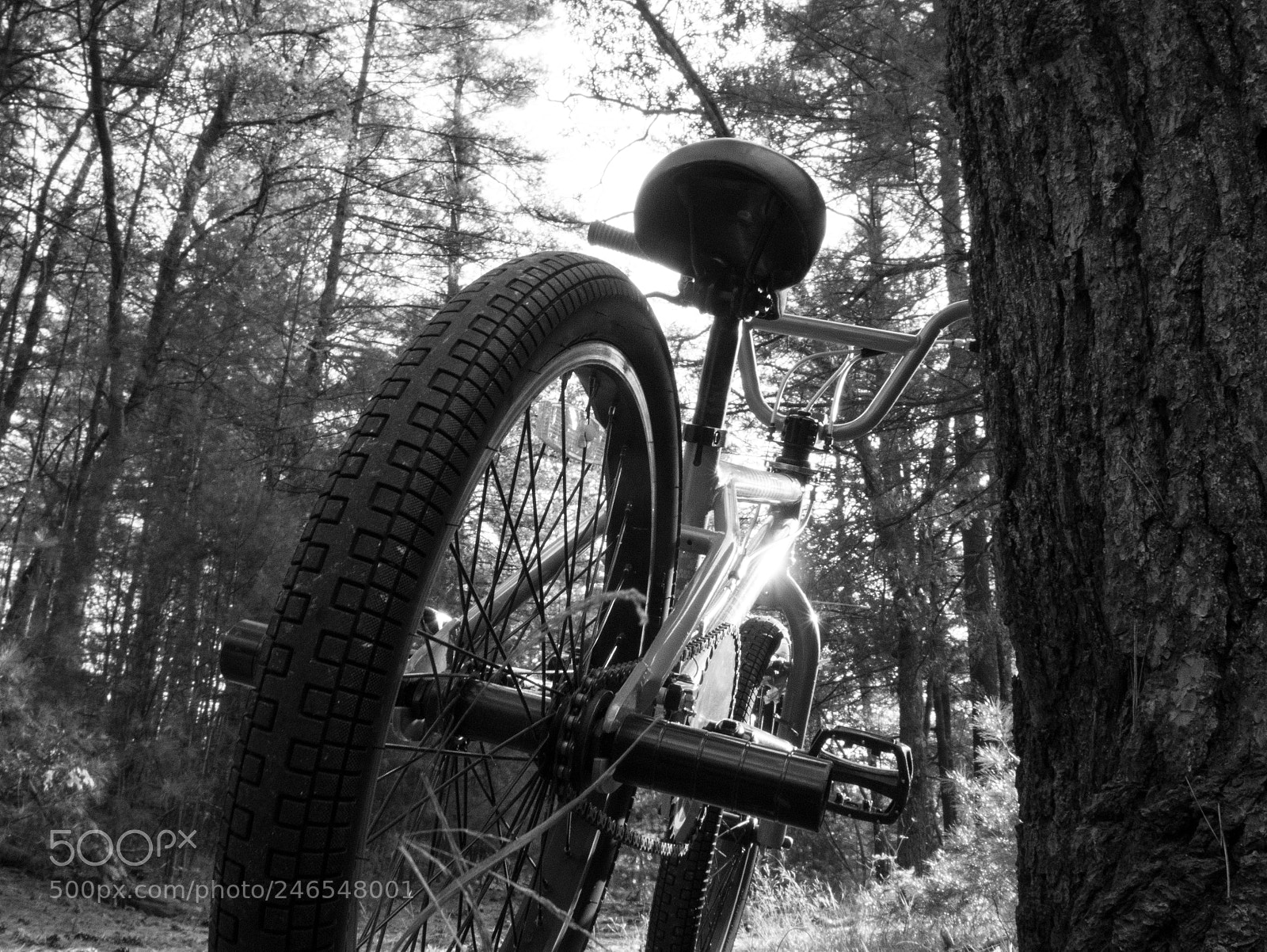 Panasonic Lumix DMC-G7 sample photo. Bmx riding photography