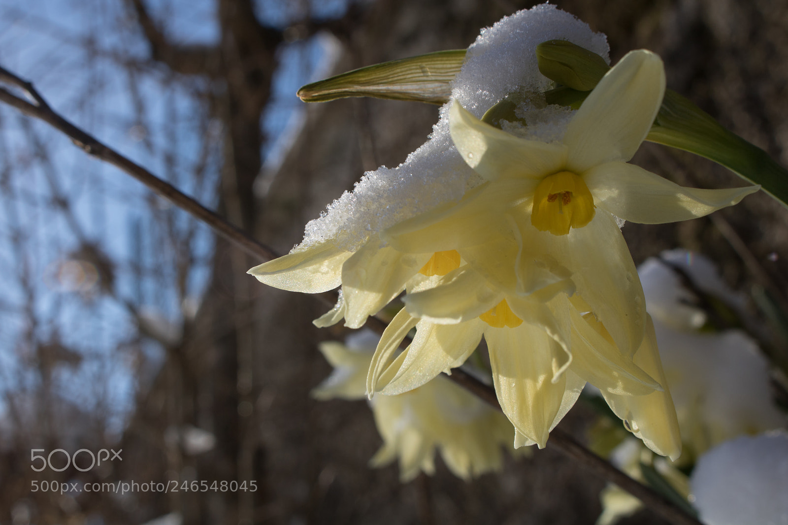 Canon EOS 760D (EOS Rebel T6s / EOS 8000D) sample photo. Life photography