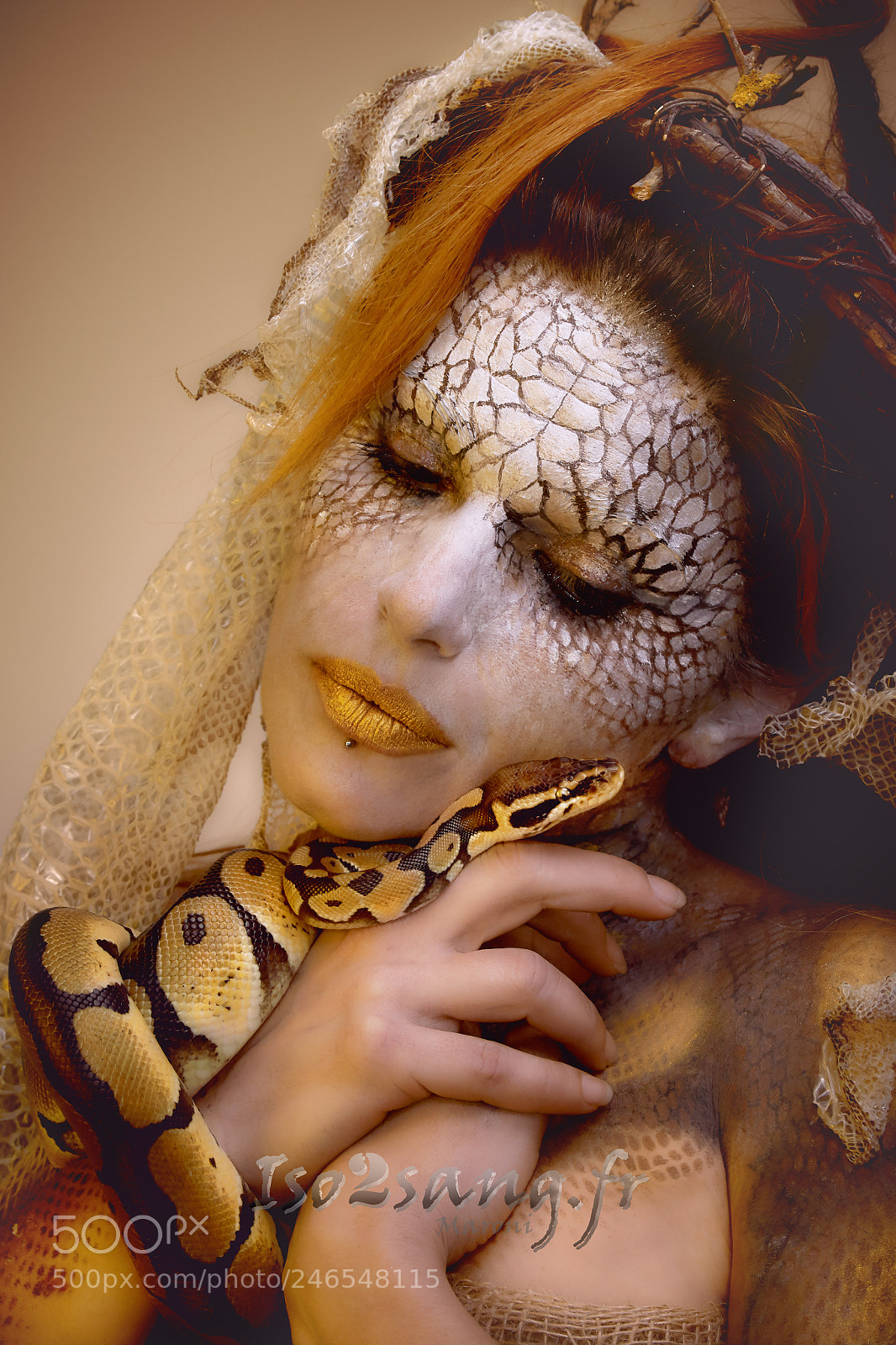 Nikon D800 sample photo. Medusa photography