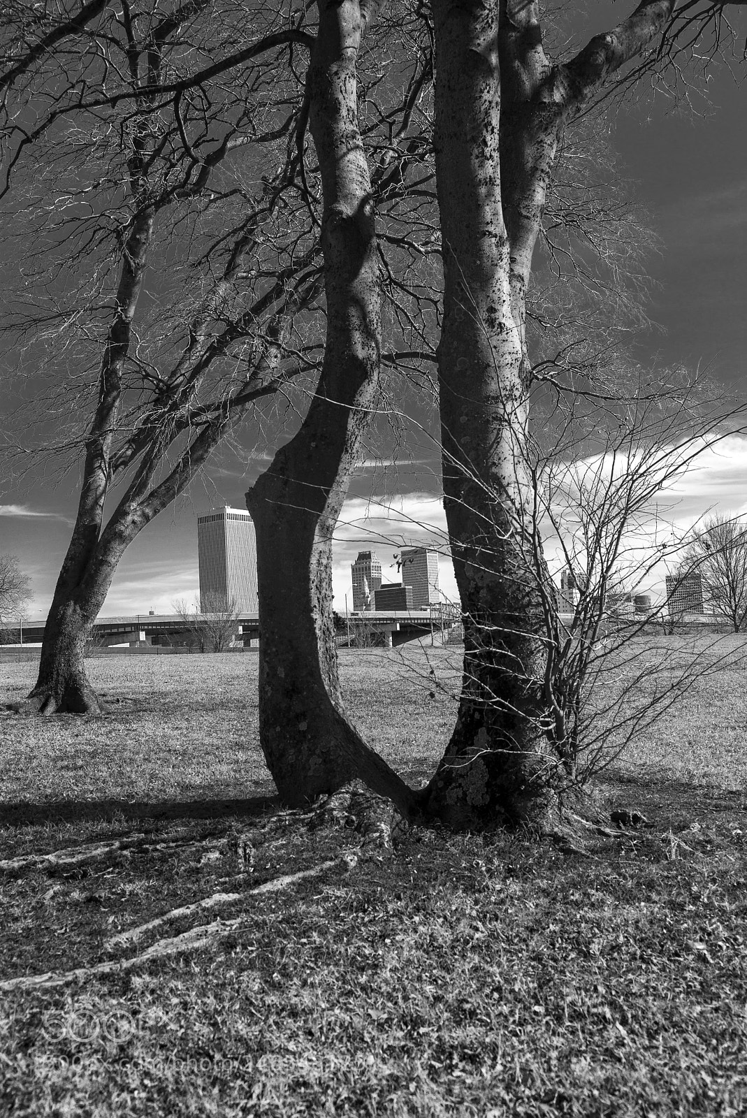 Leica M (Typ 240) sample photo. Tulsa photography