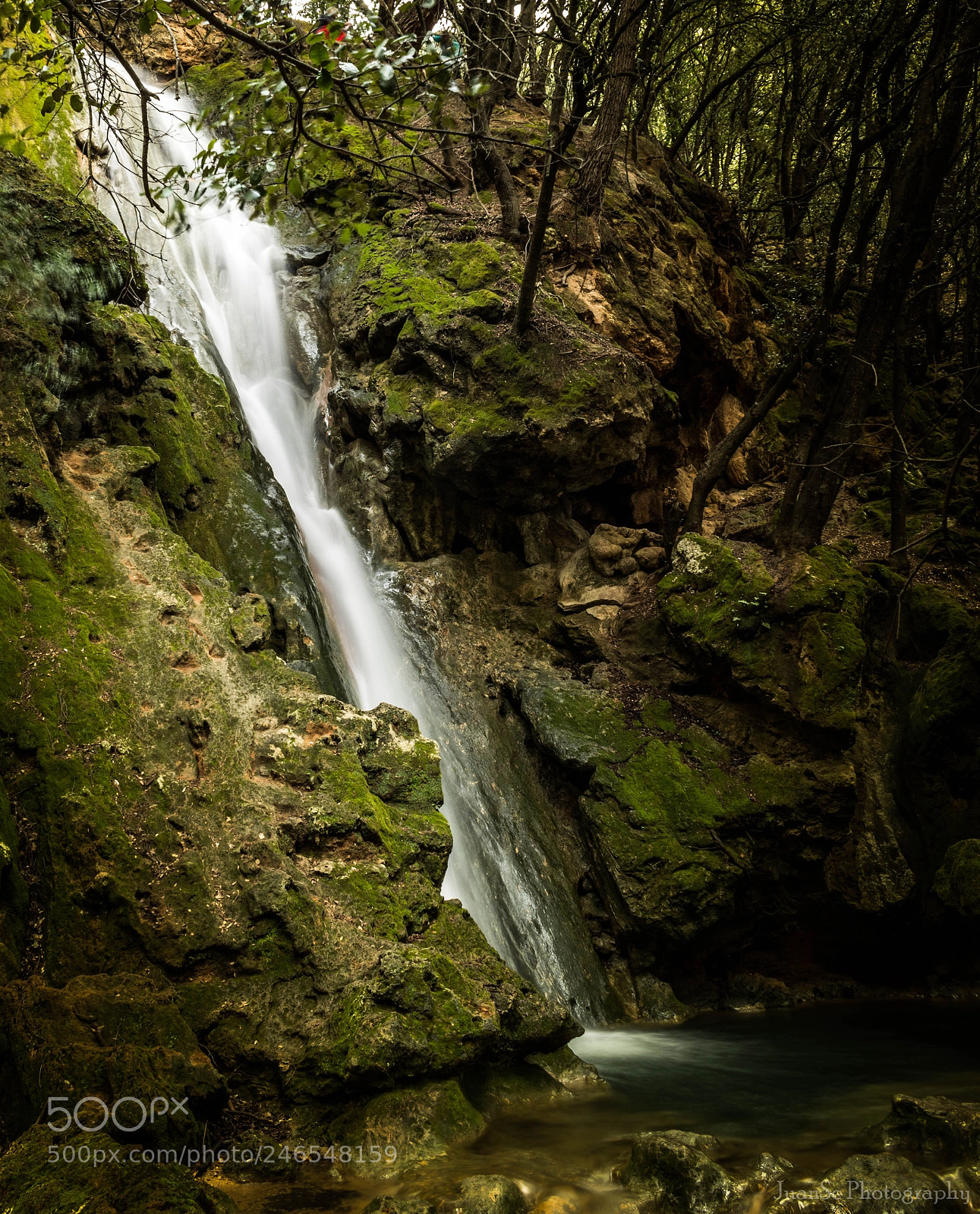 Canon EOS 750D (EOS Rebel T6i / EOS Kiss X8i) sample photo. Salt des freu photography