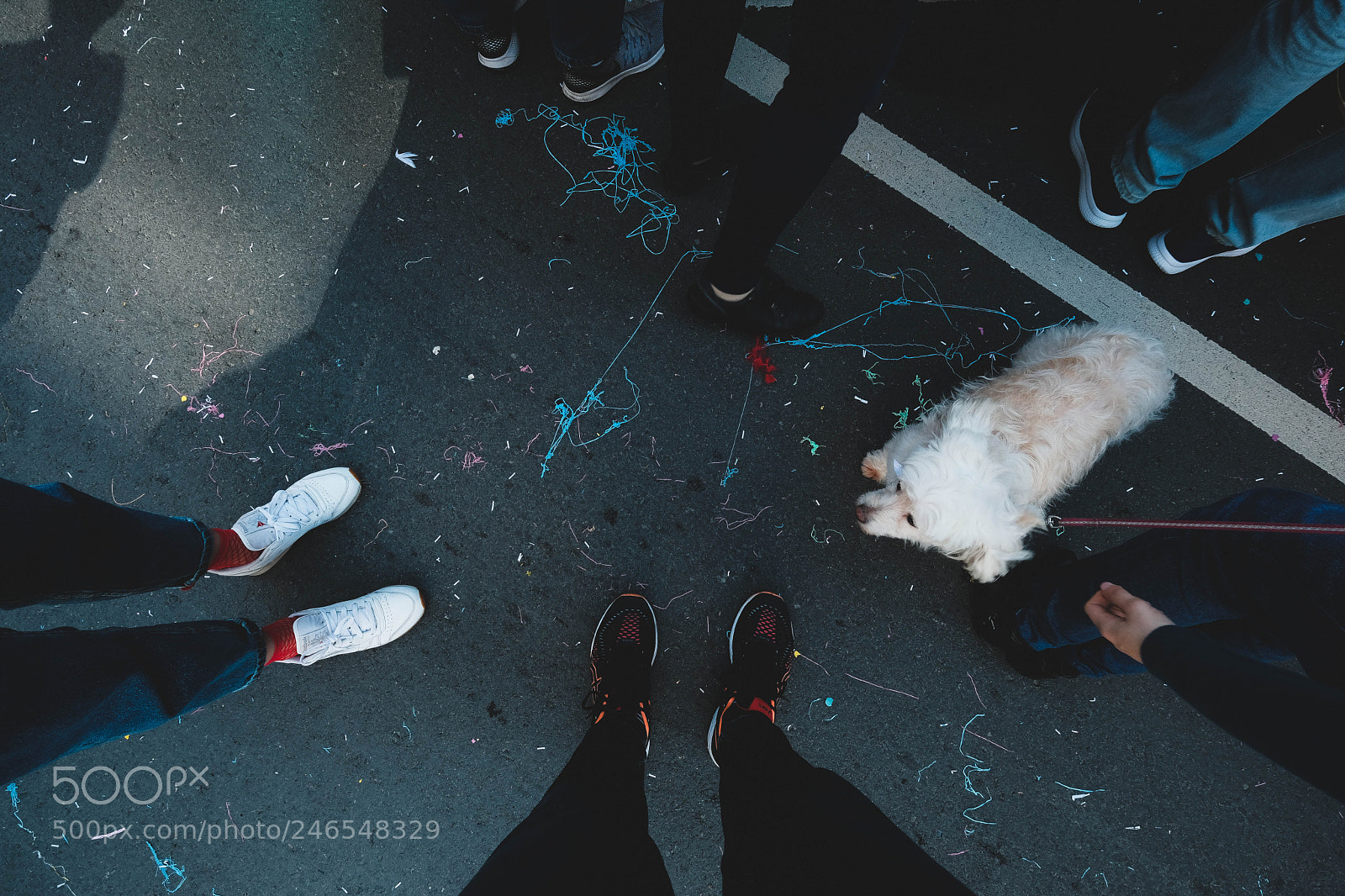 Fujifilm X-T20 sample photo. Lost photography