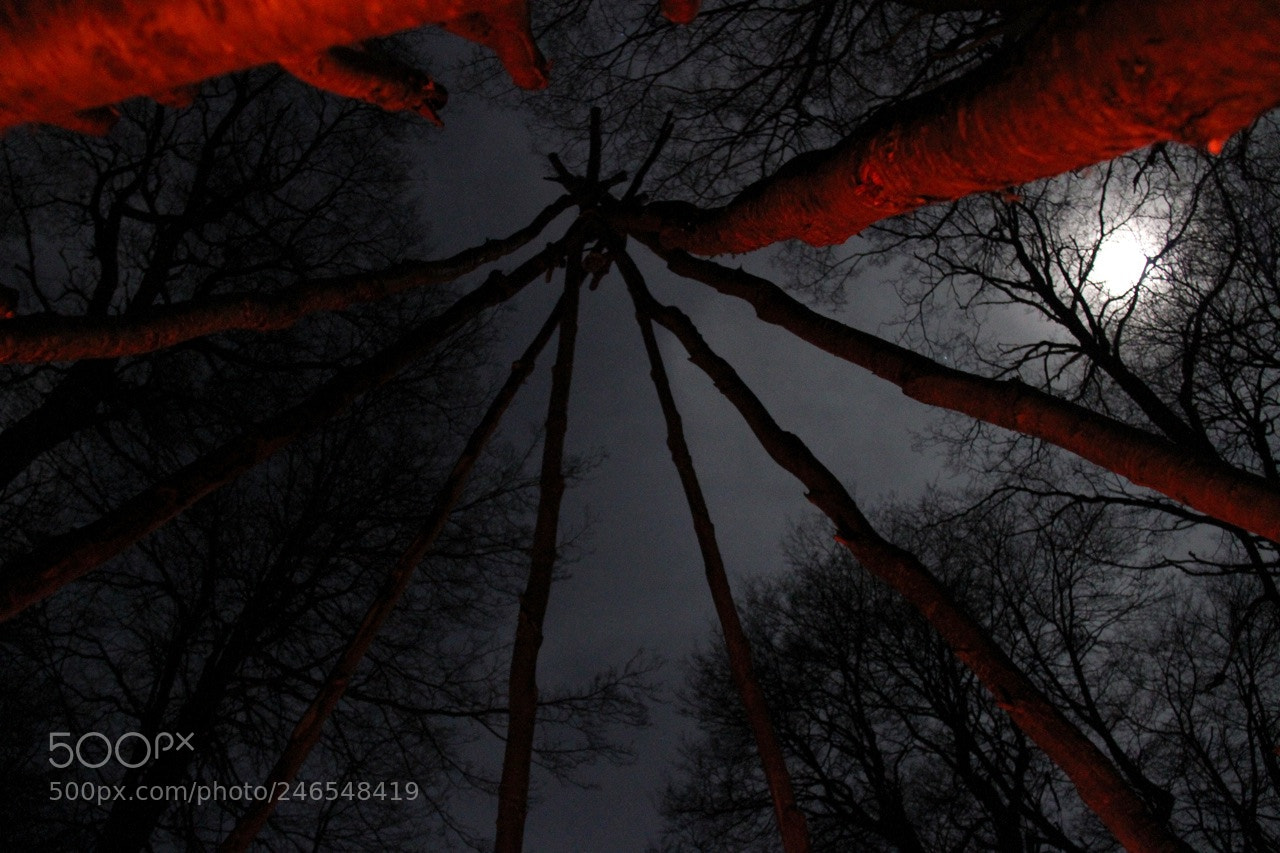Canon EOS 7D sample photo. Untitled photography