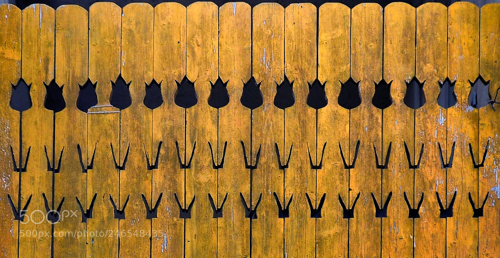 Nikon D3100 sample photo. Patterns photography