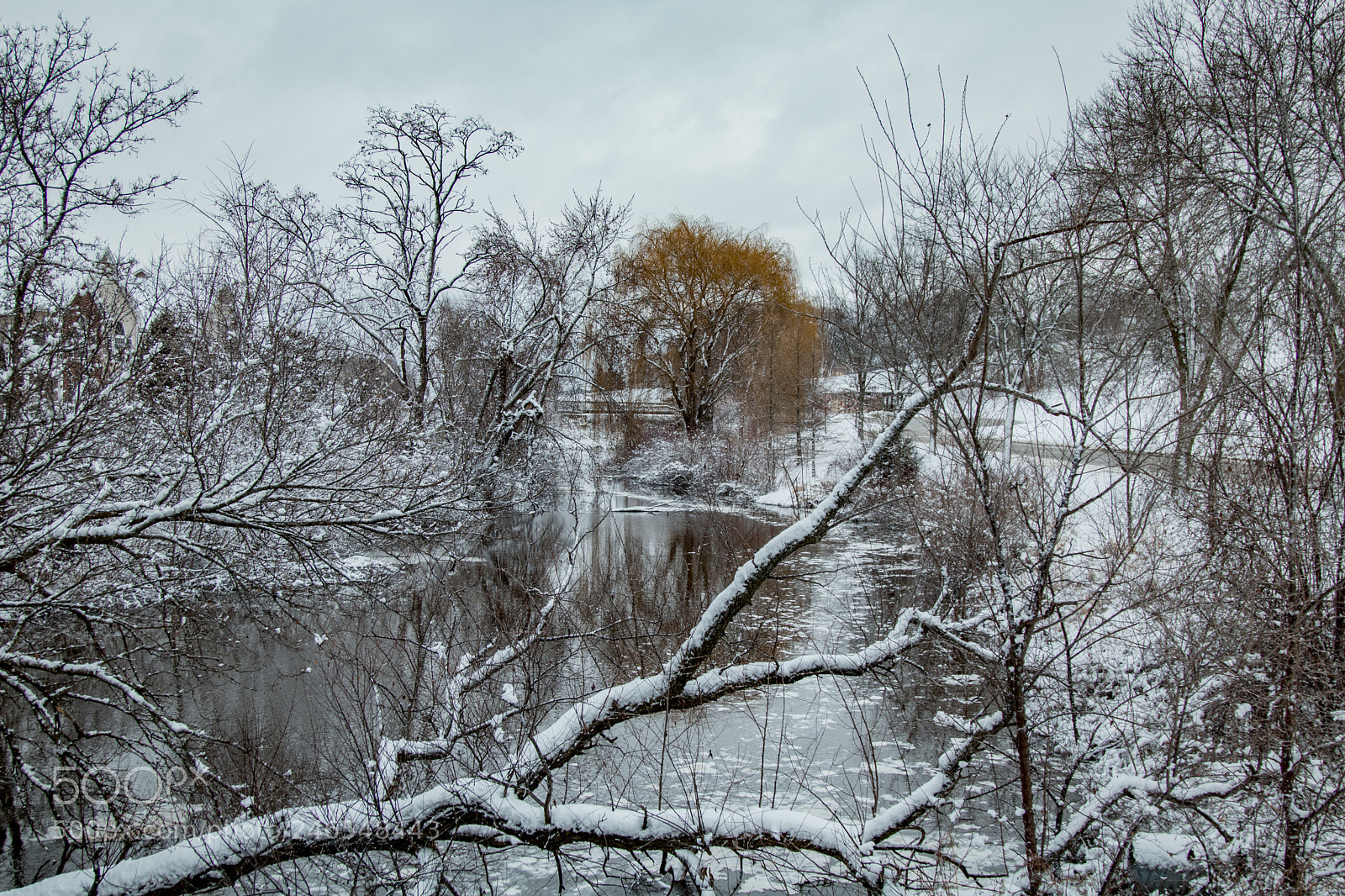 Canon EOS 760D (EOS Rebel T6s / EOS 8000D) sample photo. Winter wonderland photography