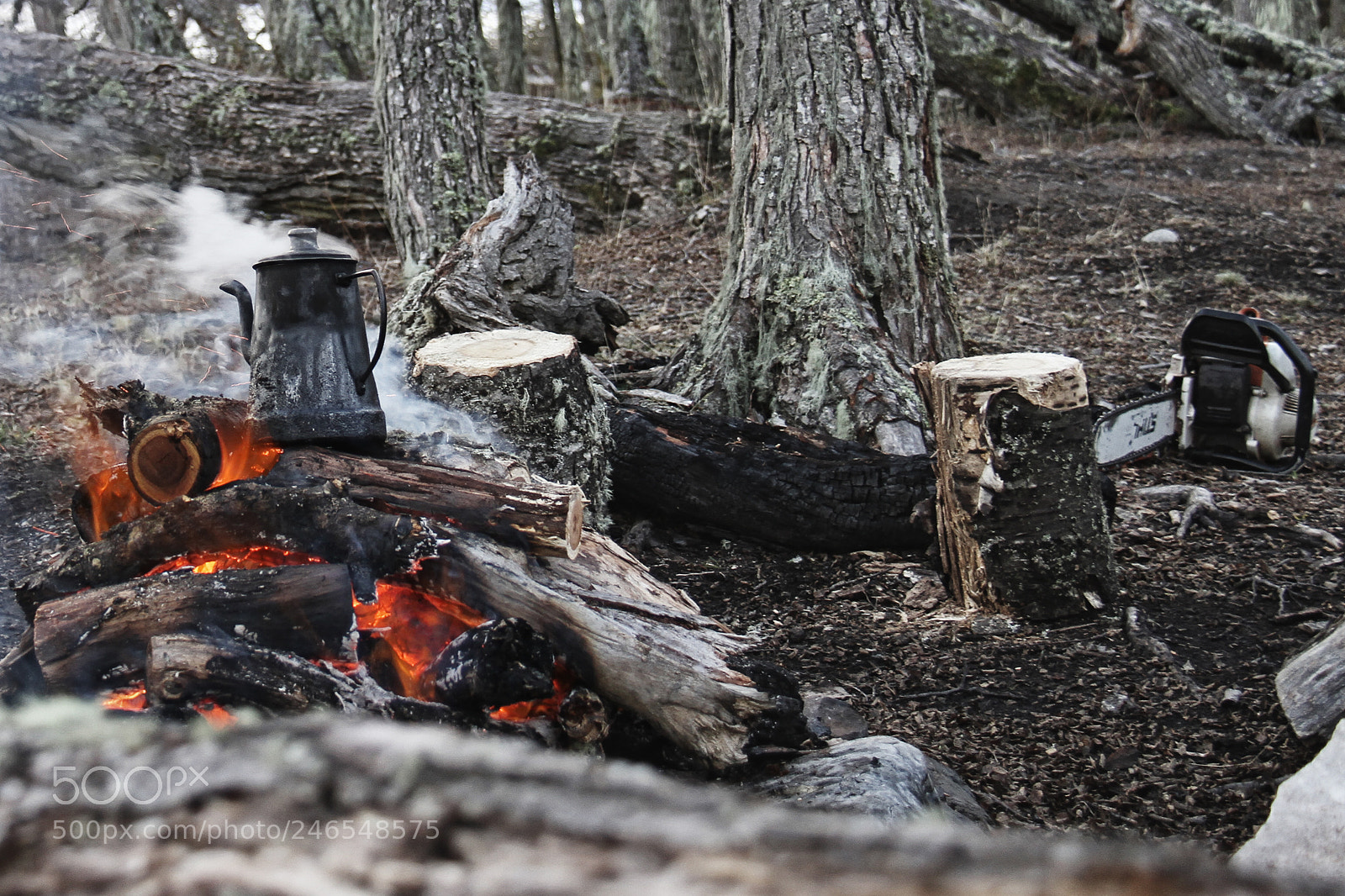 Canon EOS 7D sample photo. Untitled photography