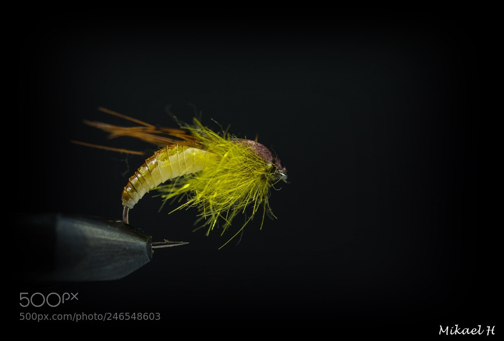 Pentax K-S2 sample photo. Nymph, caddis photography