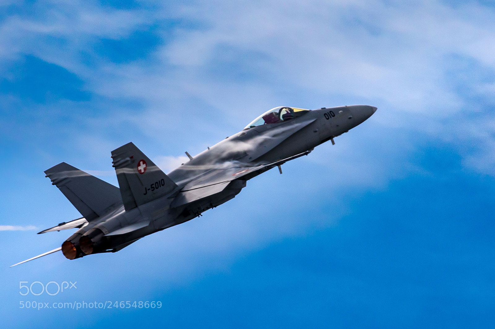 Canon EOS 7D Mark II sample photo. Swiss hornet photography
