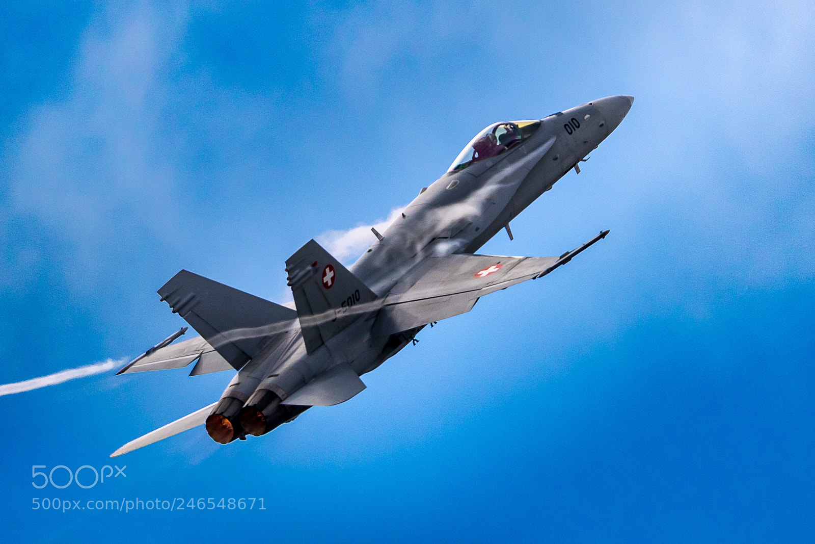 Canon EOS 7D Mark II sample photo. Swiss hornet photography