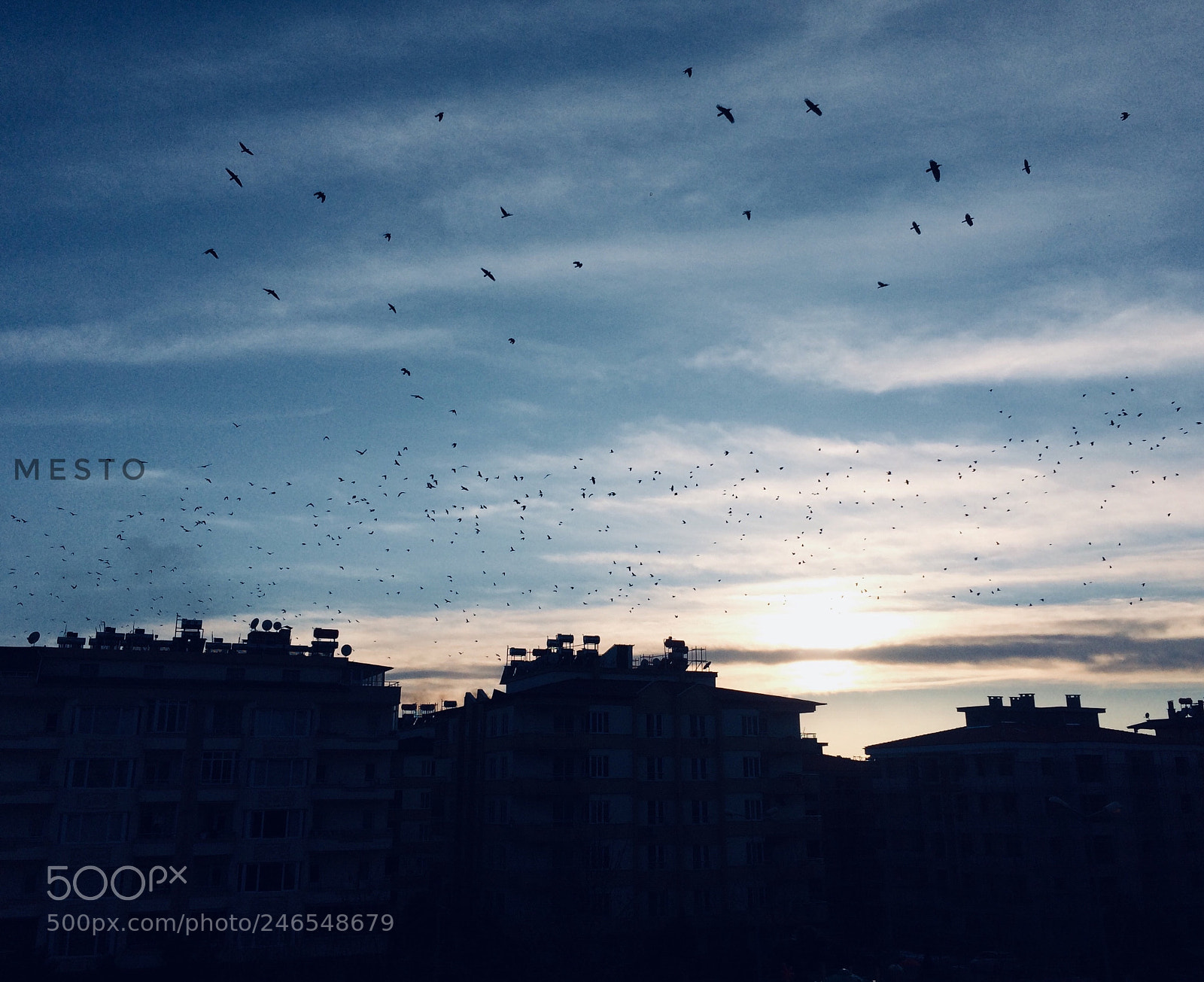 Apple iPhone 5s sample photo. Mesto ? photography