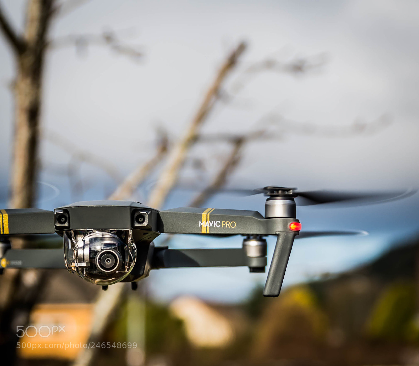 Nikon D610 sample photo. Mavic photography