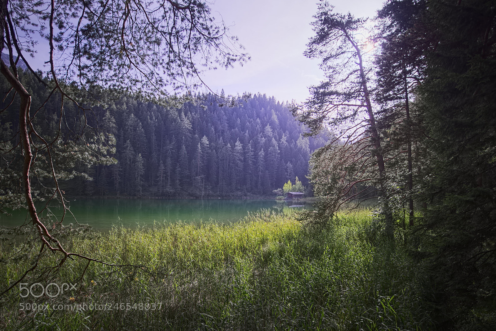 Olympus PEN E-PL5 sample photo. The hidden hut photography