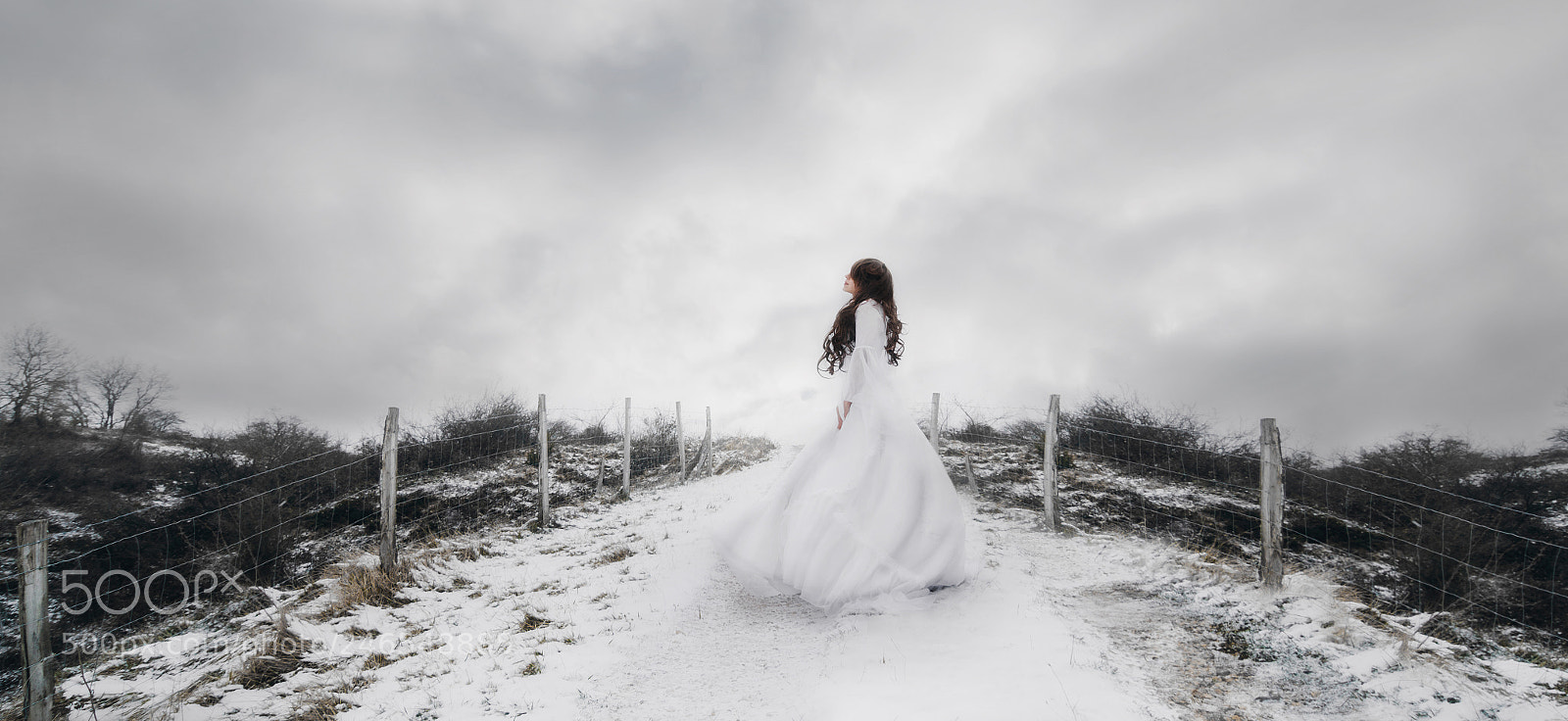 Canon EOS 7D Mark II sample photo. Snow photography