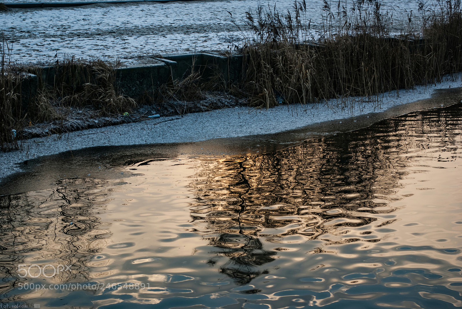 Pentax K10D sample photo. Reflection photography