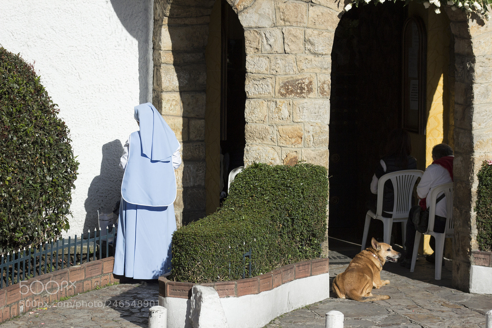 Canon EOS 600D (Rebel EOS T3i / EOS Kiss X5) sample photo. Left - right photography