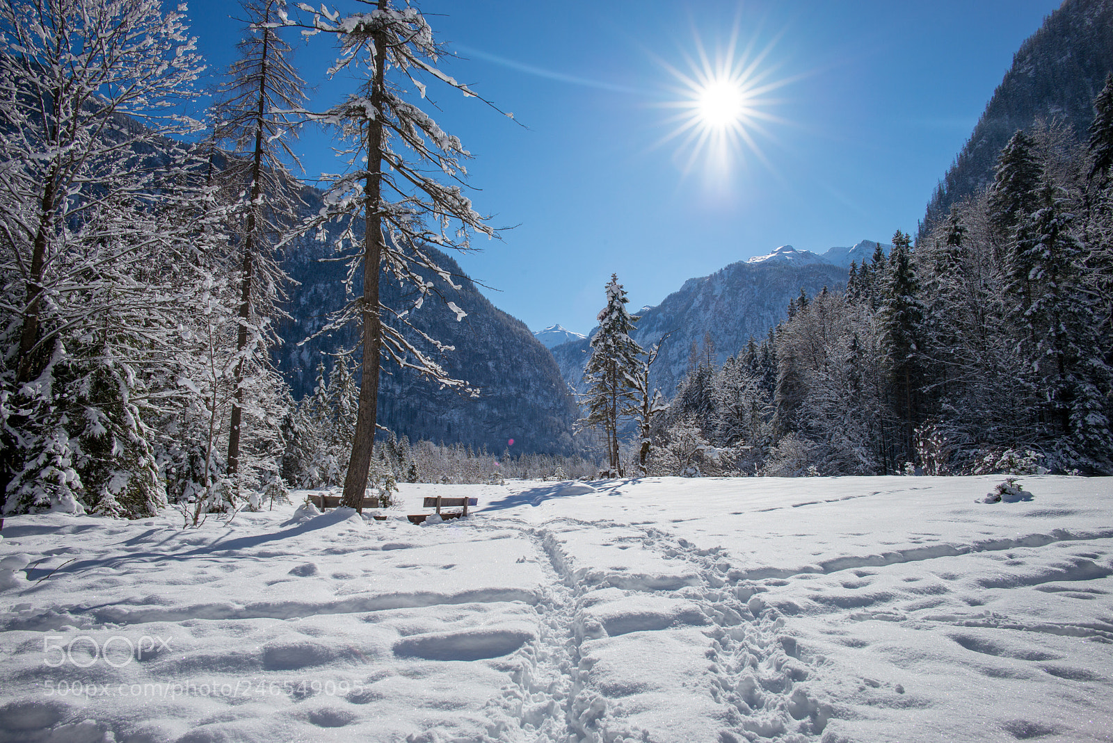Leica M (Typ 240) sample photo. Winter wonderland photography