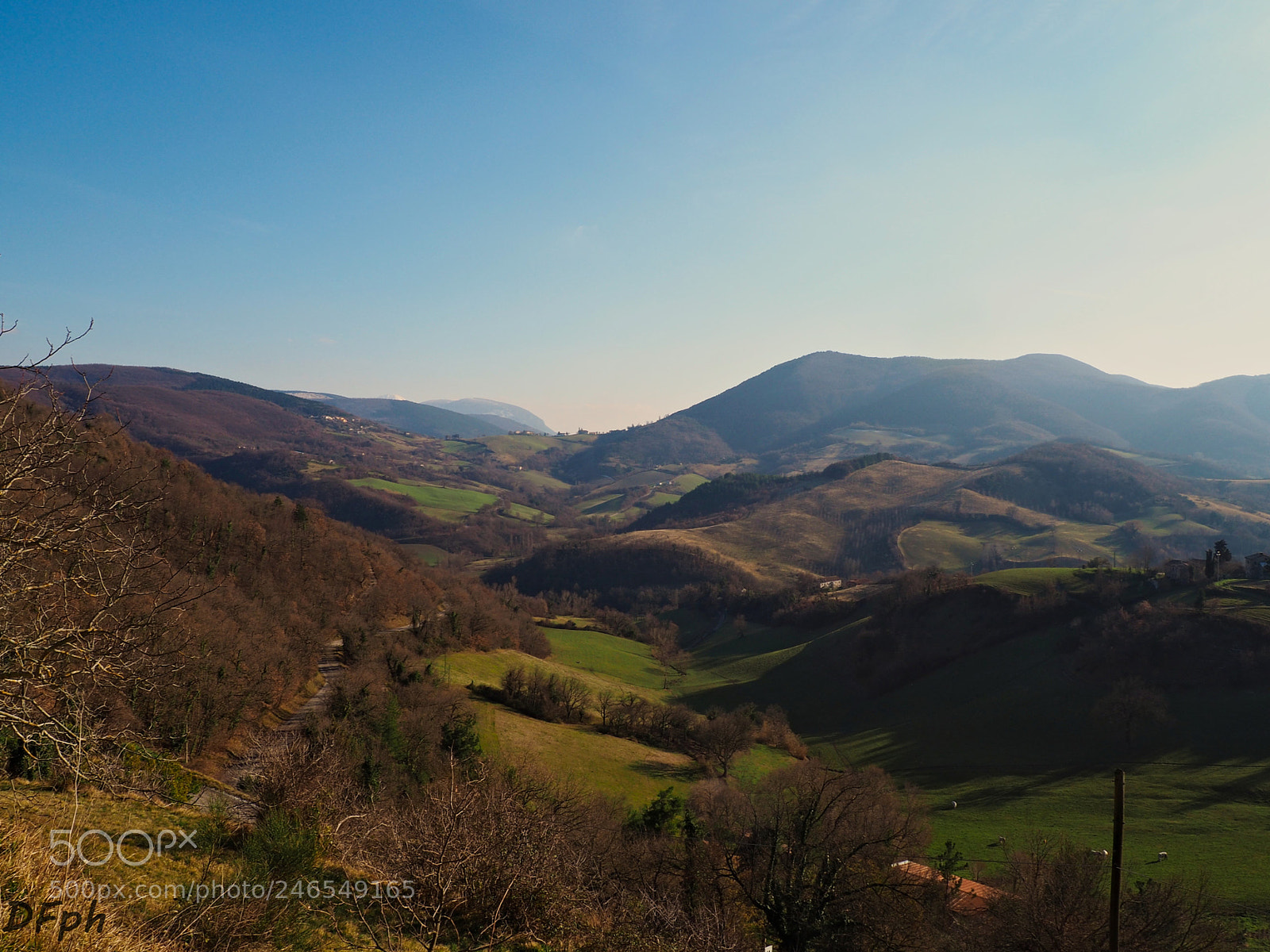 Olympus OM-D E-M10 II sample photo. Collina photography