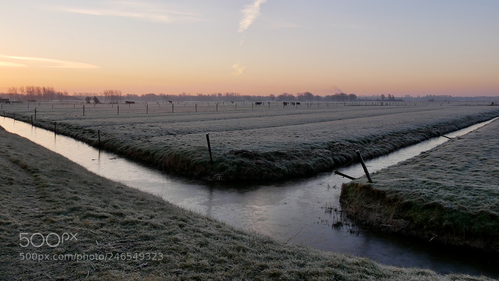 Panasonic Lumix DMC-G85 (Lumix DMC-G80) sample photo. Cold ditches photography