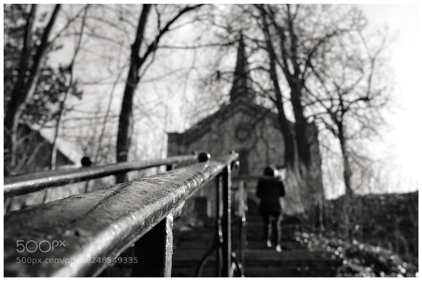 Fujifilm X-T20 sample photo. 'to heaven?' photography