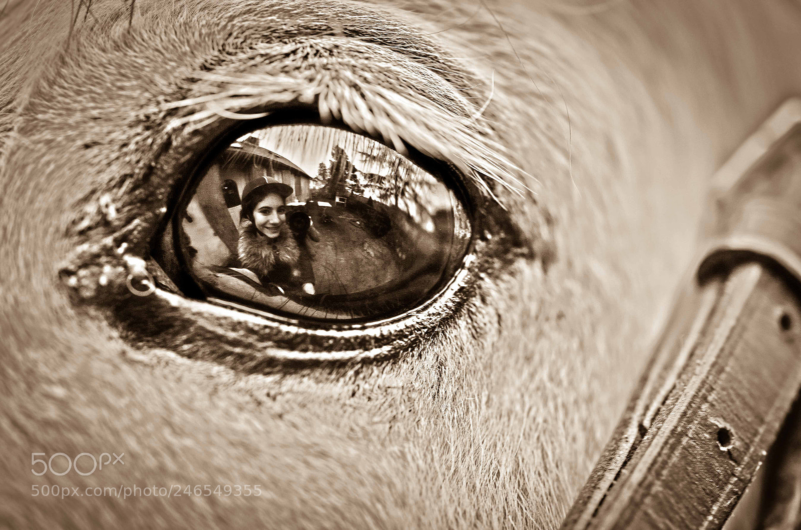 Canon EOS 6D Mark II sample photo. Alice in vison's eye... photography