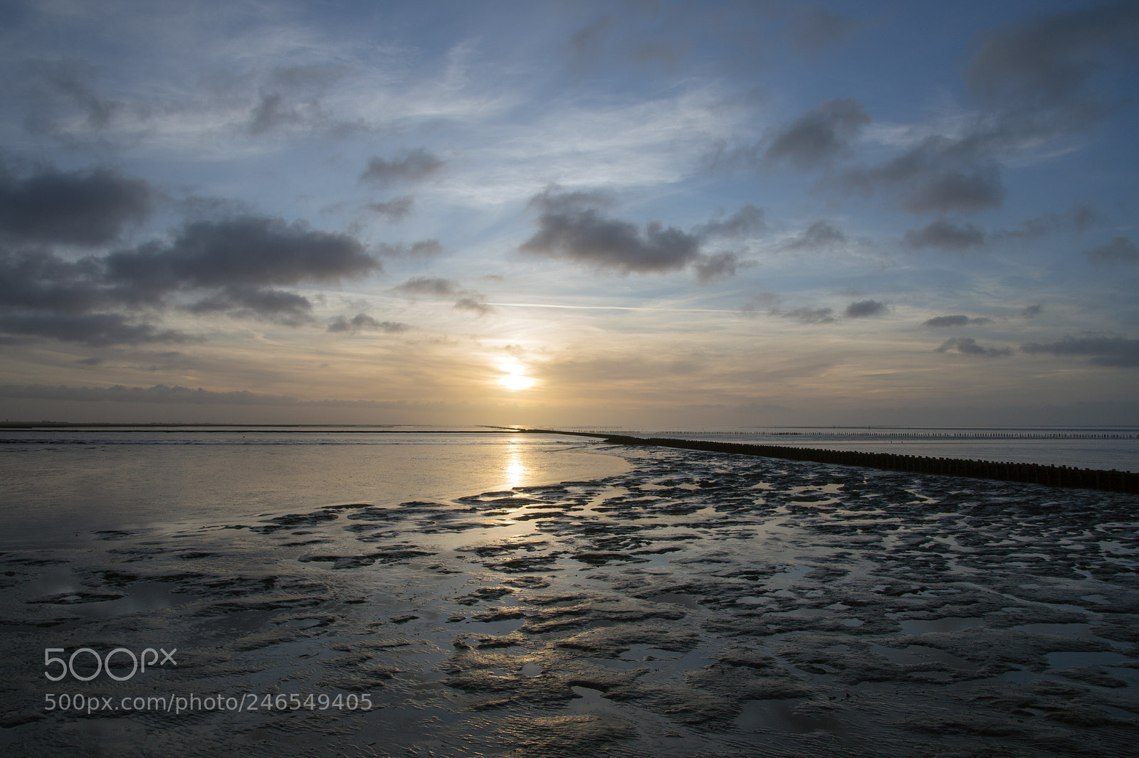 Sony SLT-A99V sample photo. Waddenpracht photography