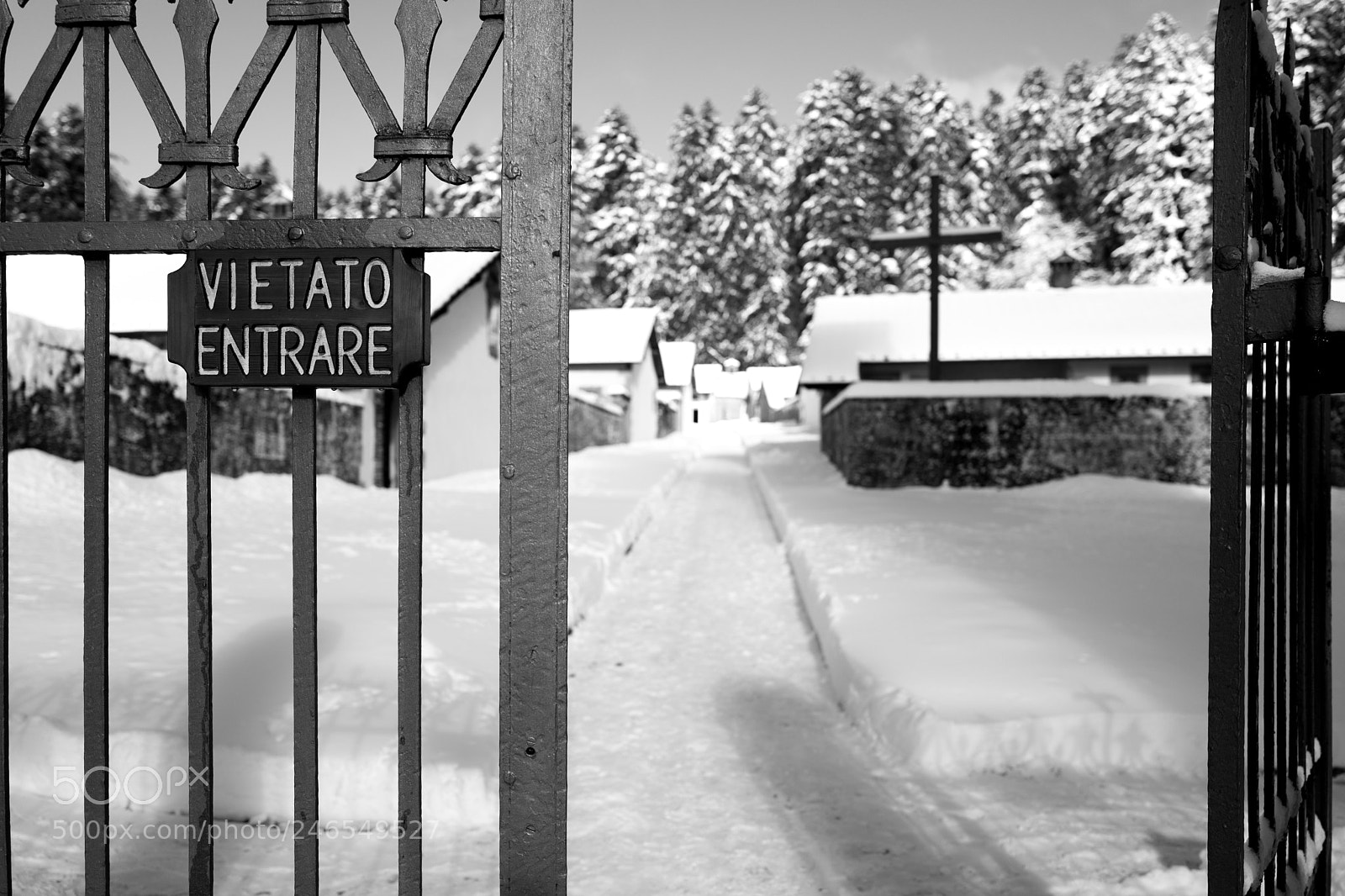 Leica Q (Typ 116) sample photo. Snow in camaldoli photography