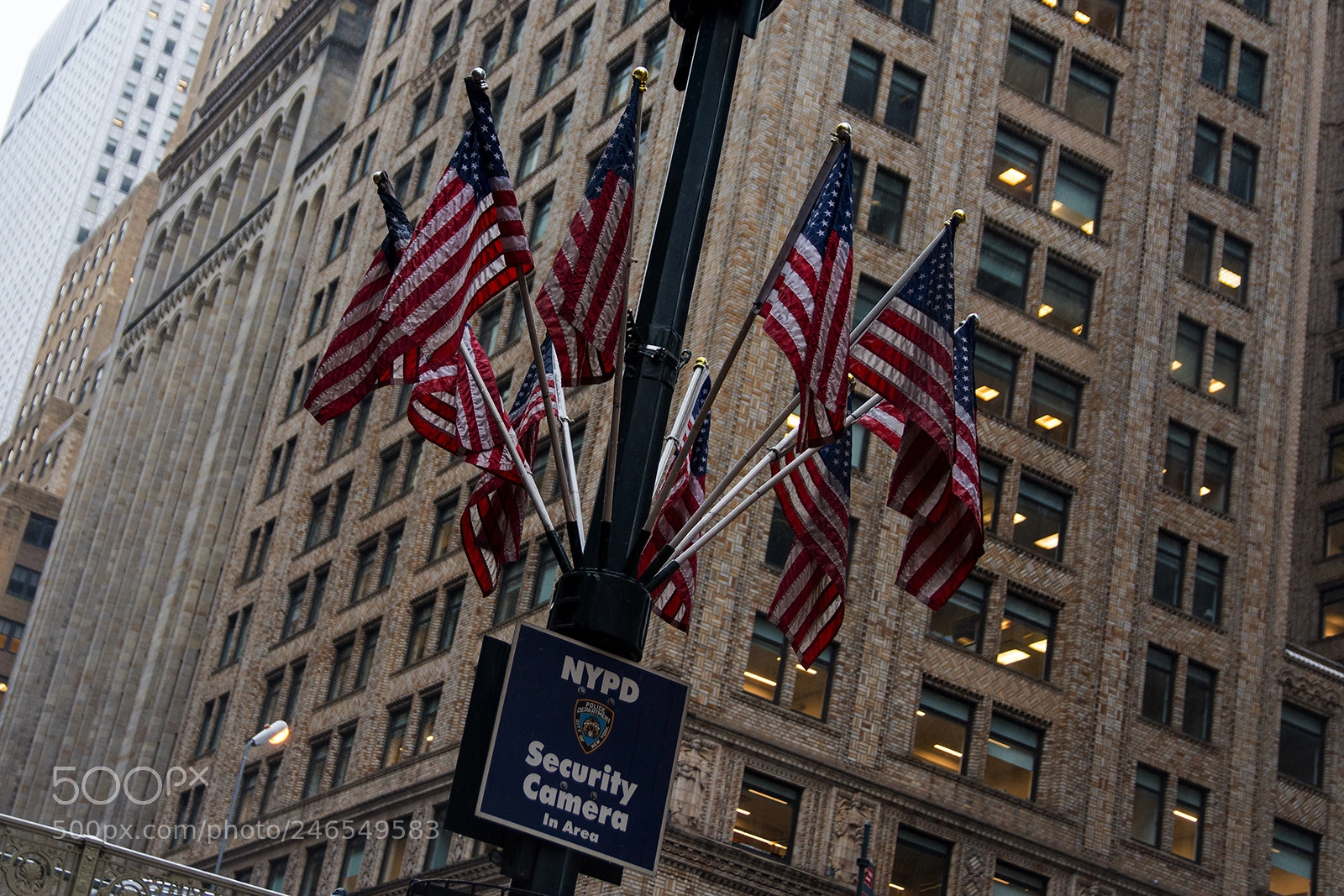 Nikon D7200 sample photo. Stars and stripes photography