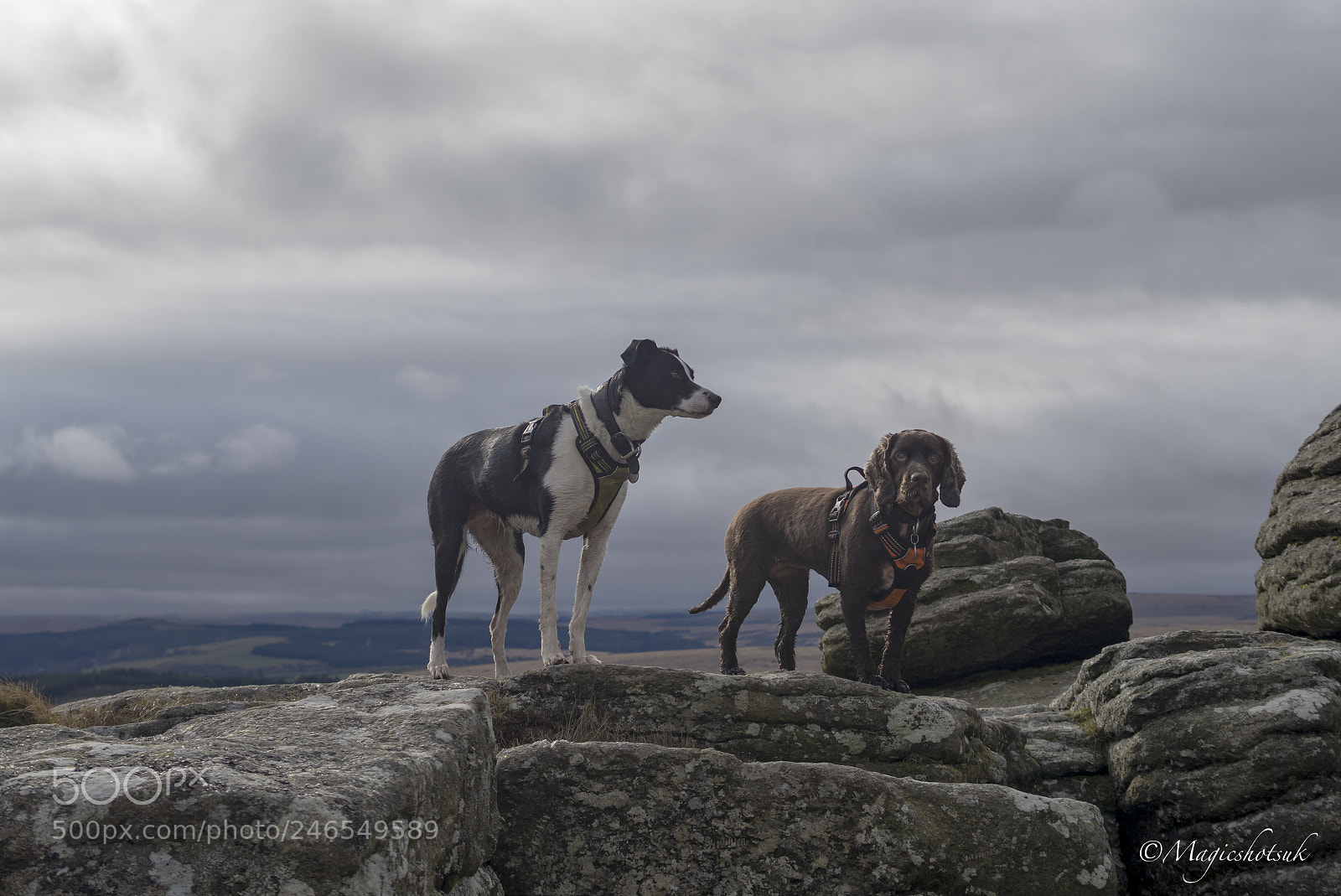 Olympus OM-D E-M1 Mark II sample photo. The girls photography
