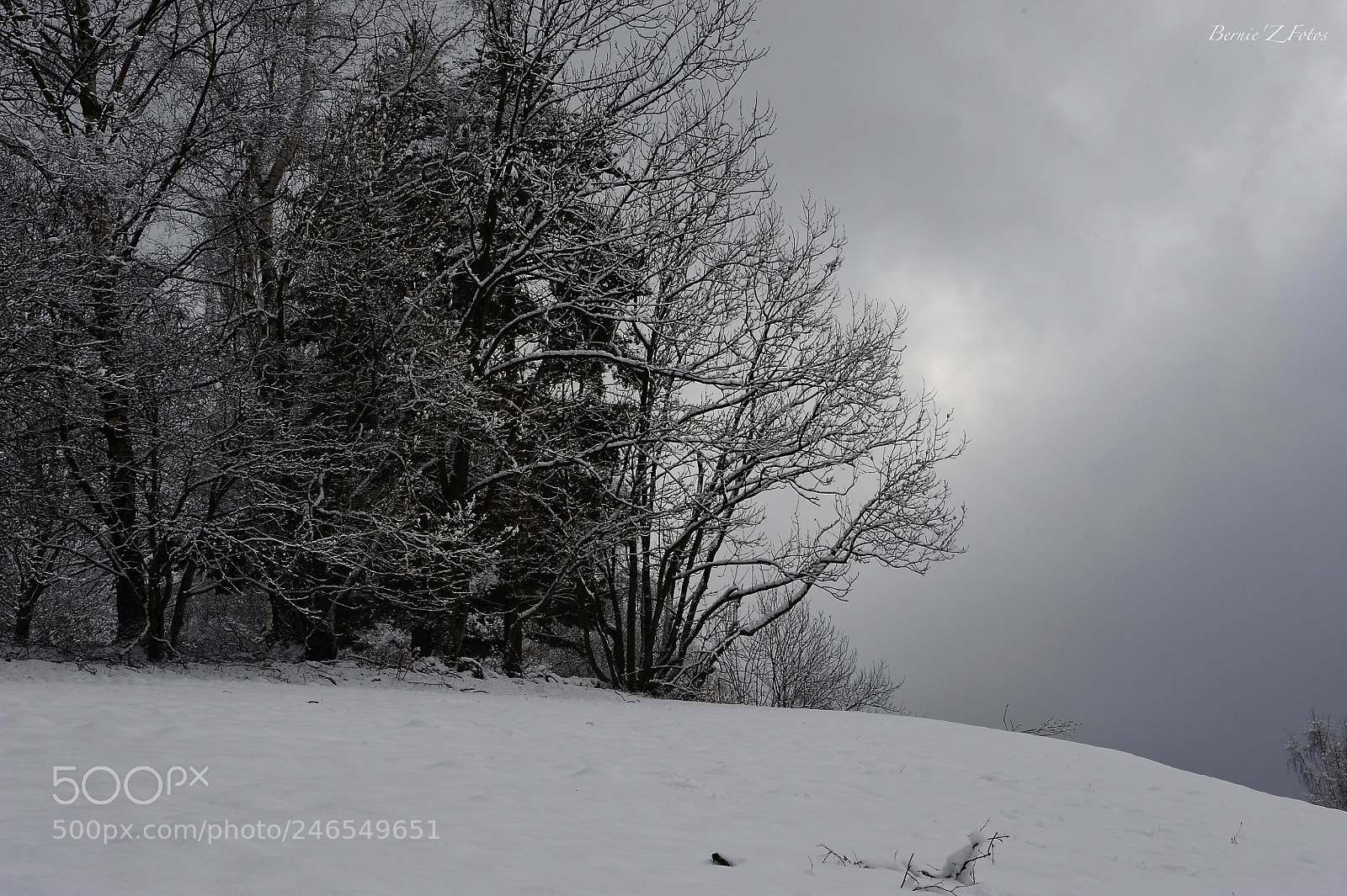 Nikon D3 sample photo. 50 nuances of gray photography