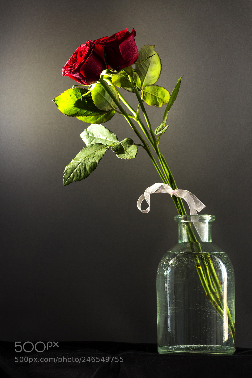 Canon EOS 700D (EOS Rebel T5i / EOS Kiss X7i) sample photo. Roses in a vase photography