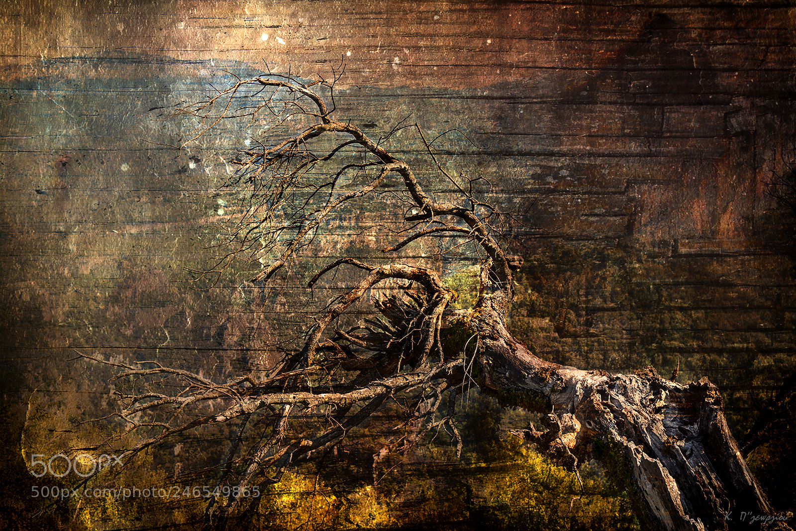 Nikon D7100 sample photo. Erinyes photography