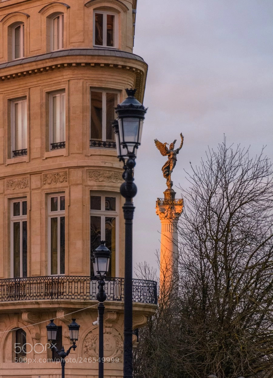 Nikon D5200 sample photo. Bourgogne photography