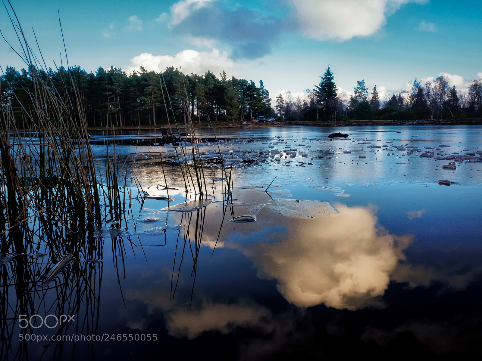 Olympus OM-D E-M5 sample photo. Cragside i photography