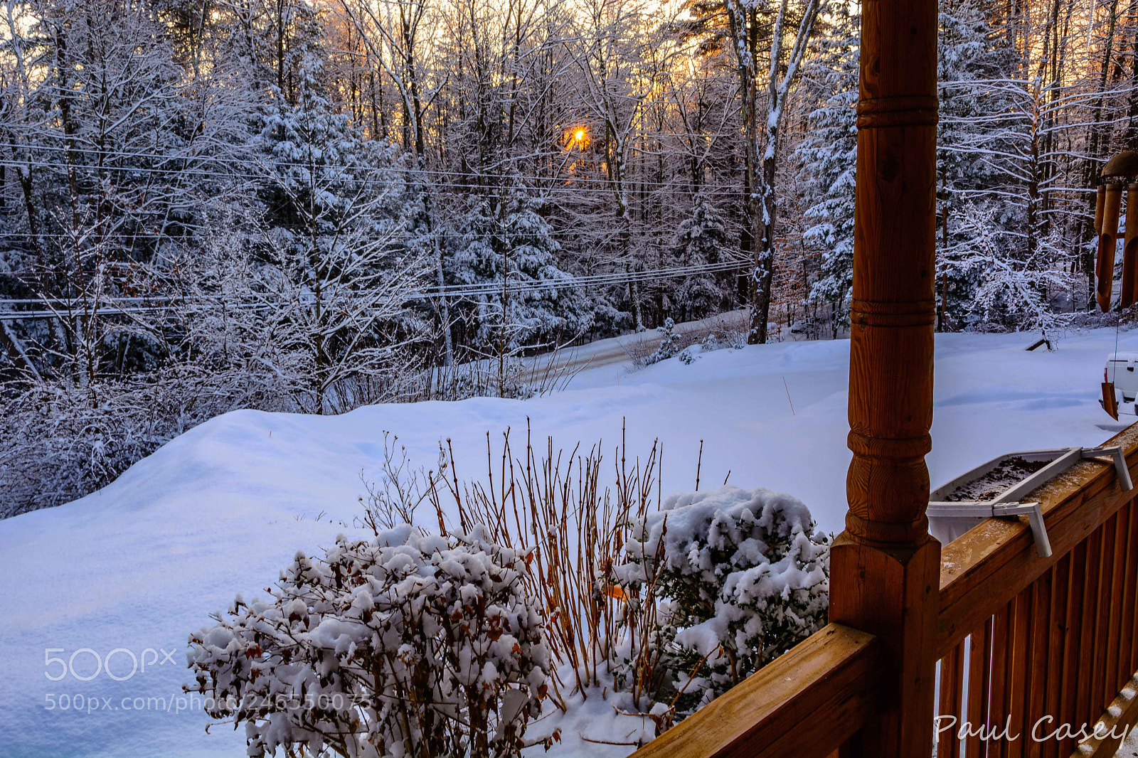 Nikon D5200 sample photo. Waking up to the photography