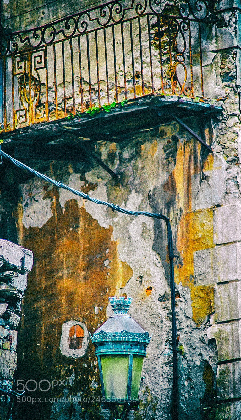 Nikon D60 sample photo. The beauty of the photography