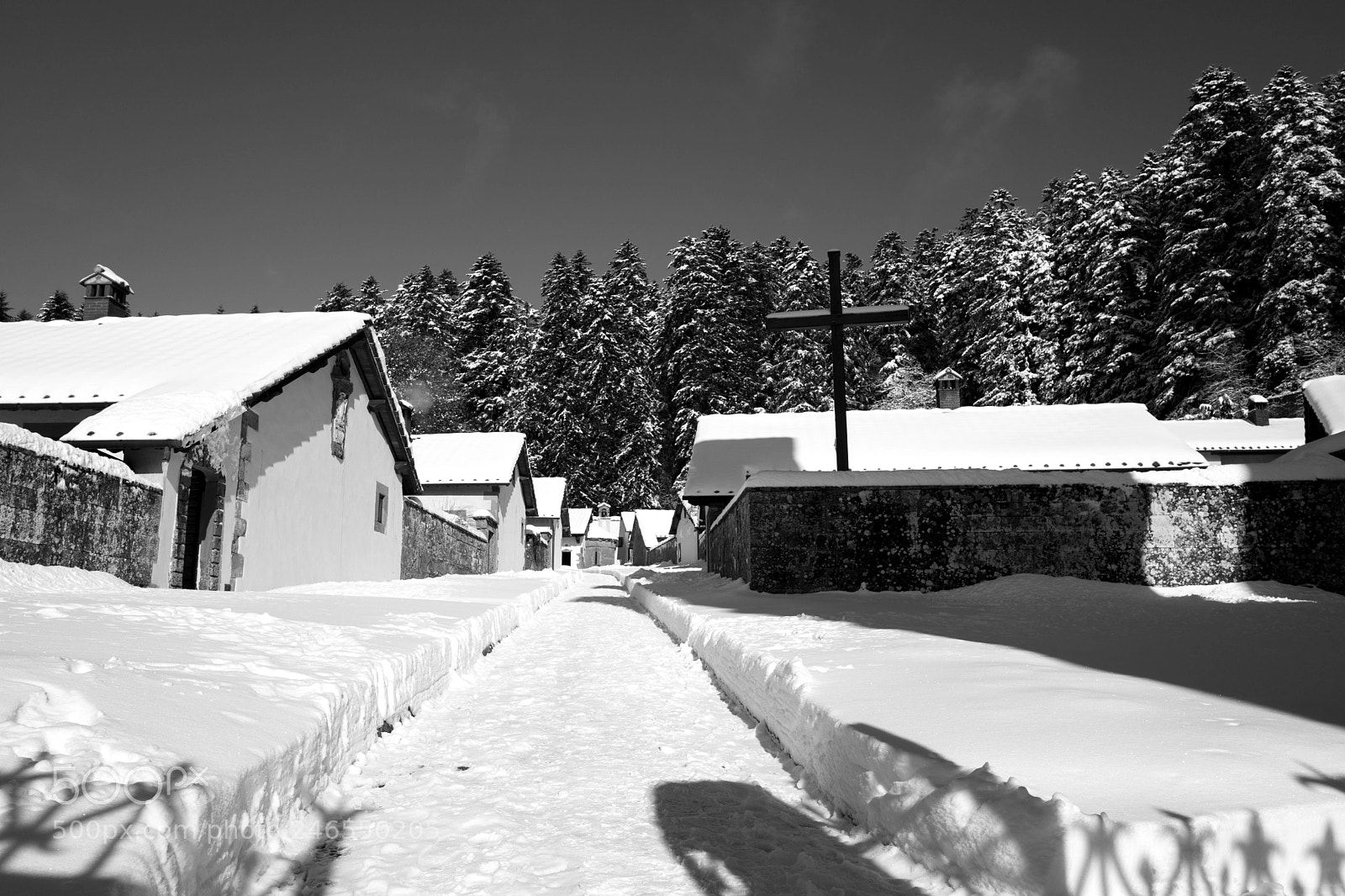 Leica Q (Typ 116) sample photo. Snow in camaldoli photography