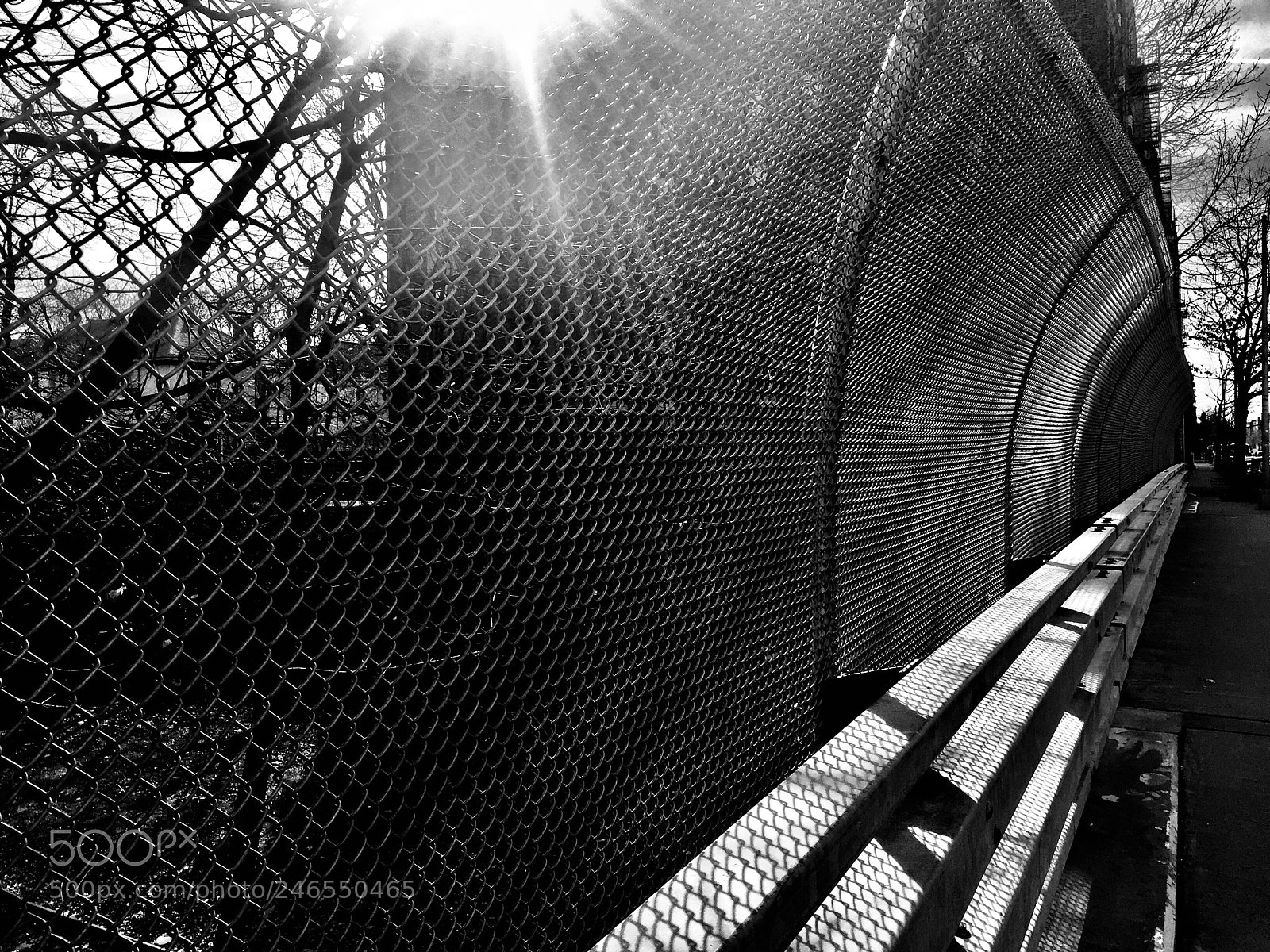 Apple iPhone 6 Plus sample photo. “chainlink light study” photography