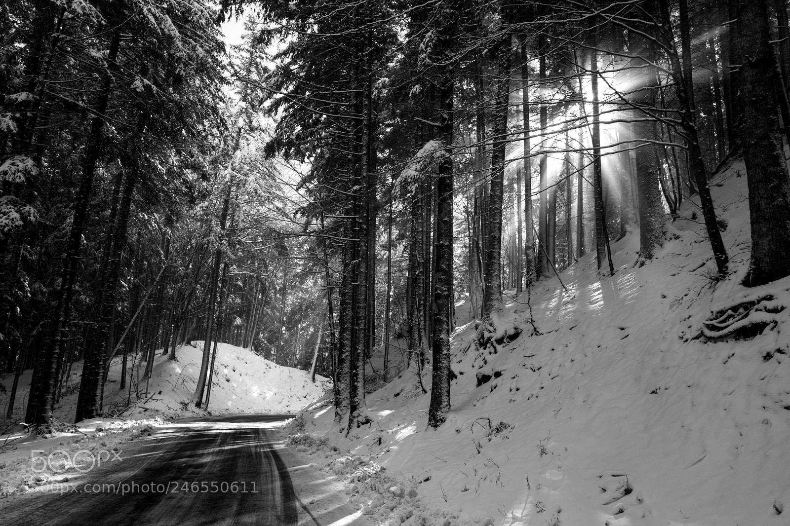 Leica Q (Typ 116) sample photo. Snow in camaldoli photography