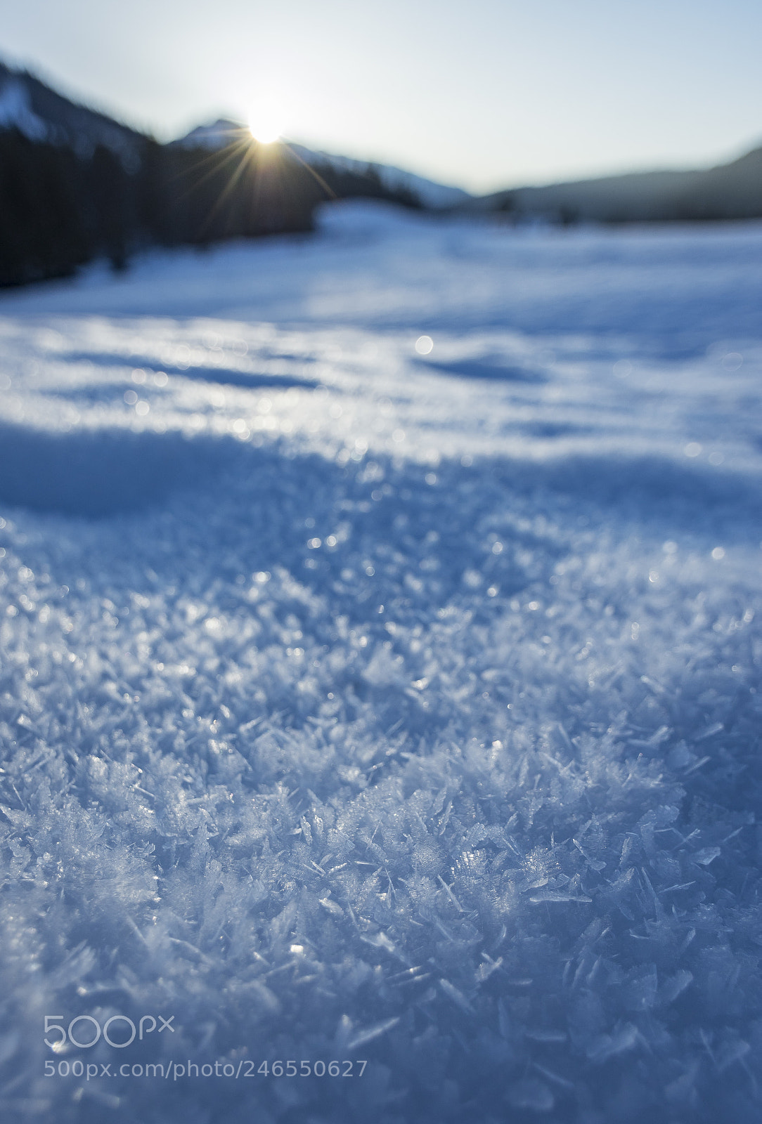 Pentax K-3 sample photo. Snowflakes photography