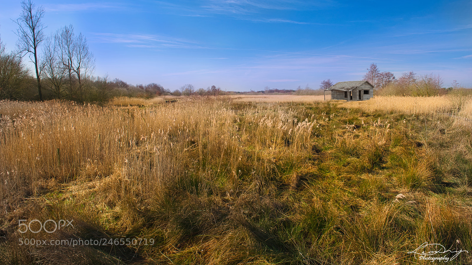 Nikon D800 sample photo. Oude schuur photography