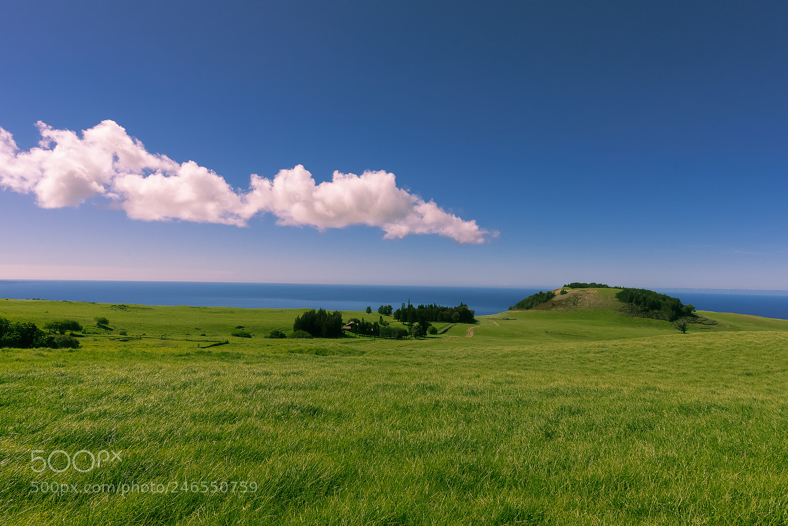 Nikon D750 sample photo. Along the kohala mountain photography