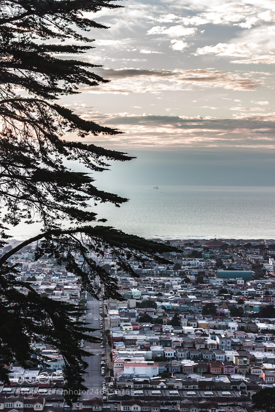 Canon EOS 550D (EOS Rebel T2i / EOS Kiss X4) sample photo. Sunset in san francisco photography