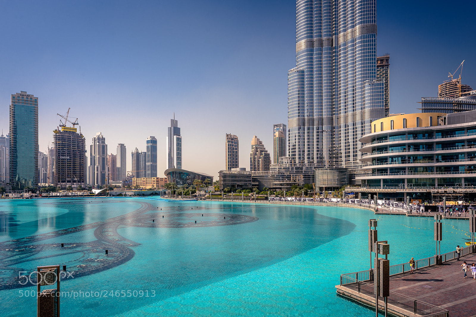 Nikon D610 sample photo. Beautiful dubai photography