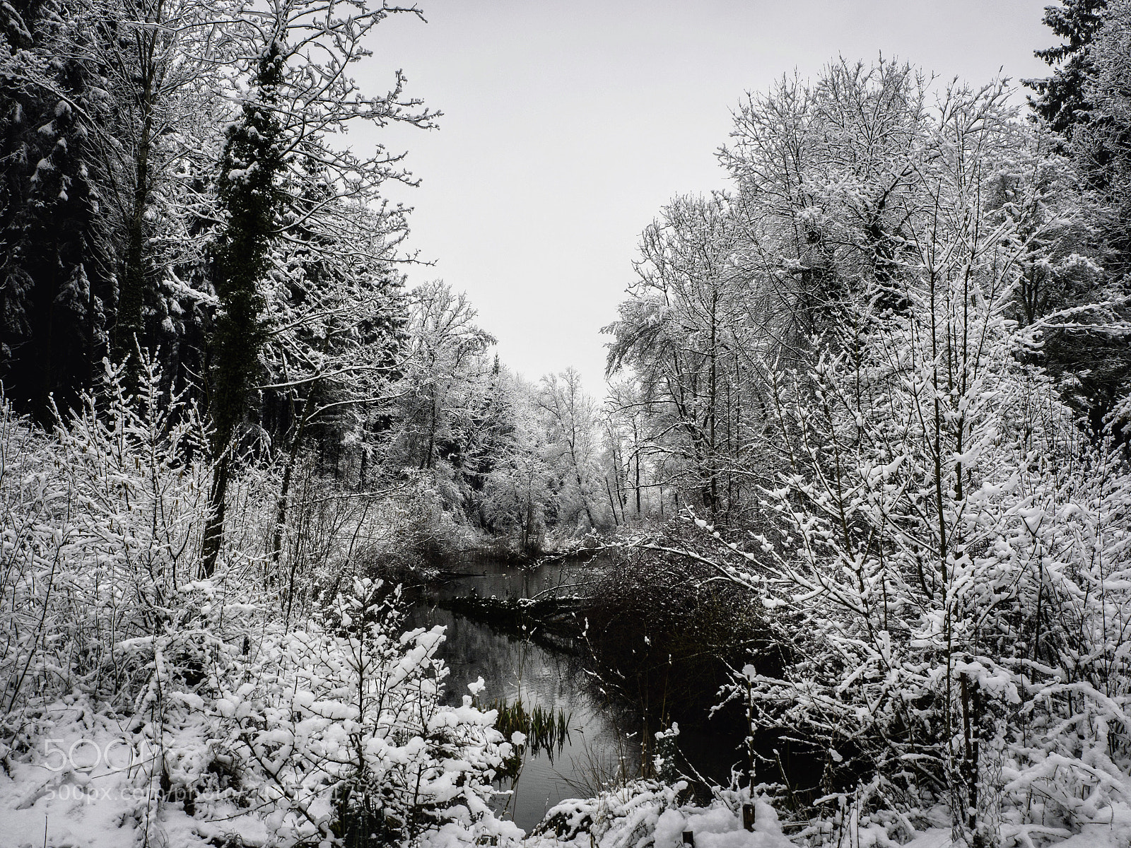 Olympus PEN E-PL7 sample photo. Winterblues photography