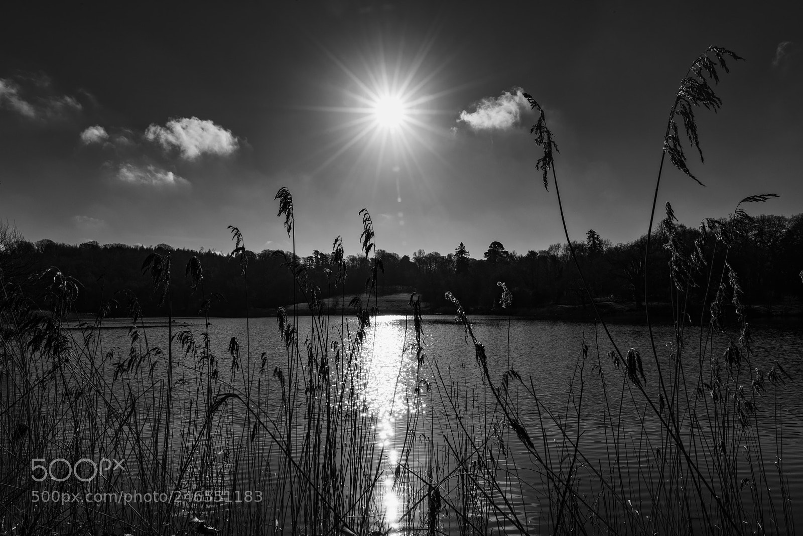 Nikon D810 sample photo. Sunlit lake photography