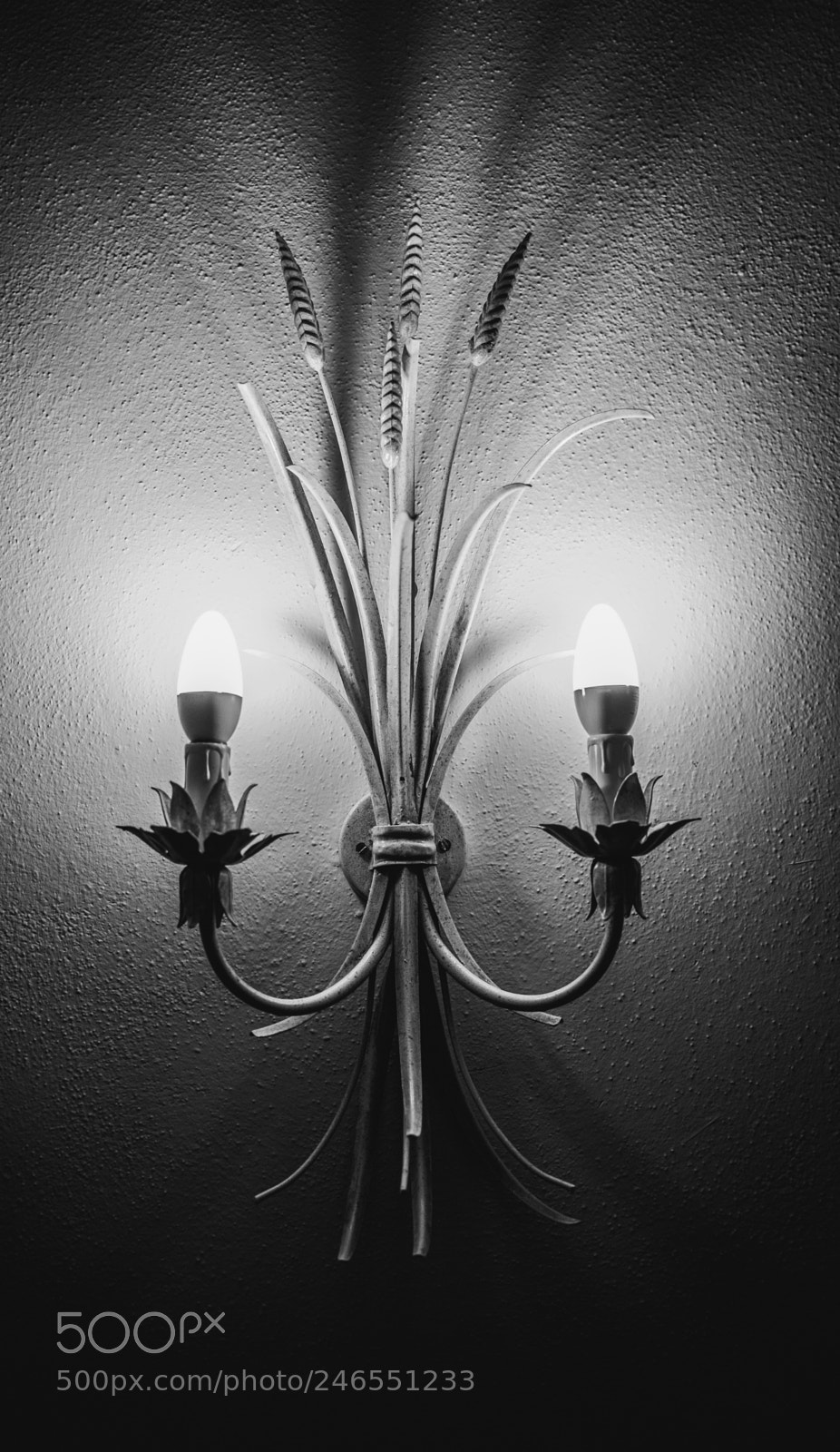 Fujifilm X-T2 sample photo. Light and symmetry photography
